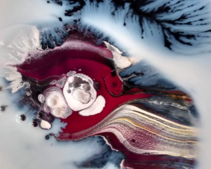 Spontaneous Fractal Emergence