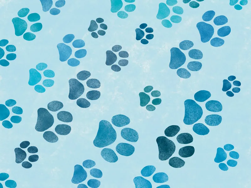 Paw Prints